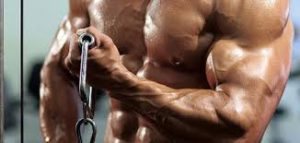 Nitro Strength - för muskelmassa – åtgärd – effekter – ingredienser